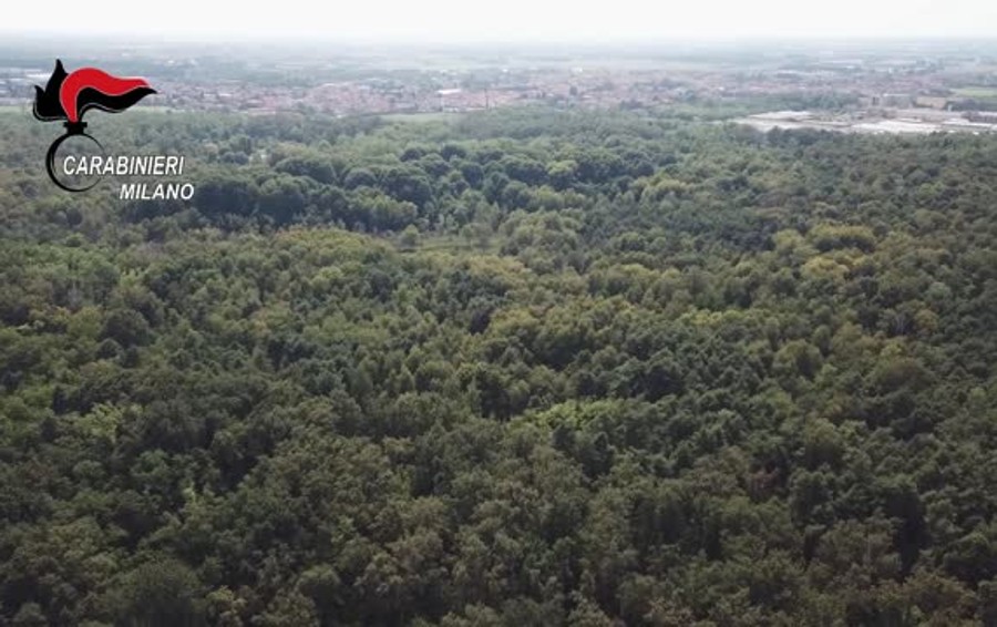 Spaccio E Armi Al Parco Delle Groane Il Video Il Cittadino Di Monza