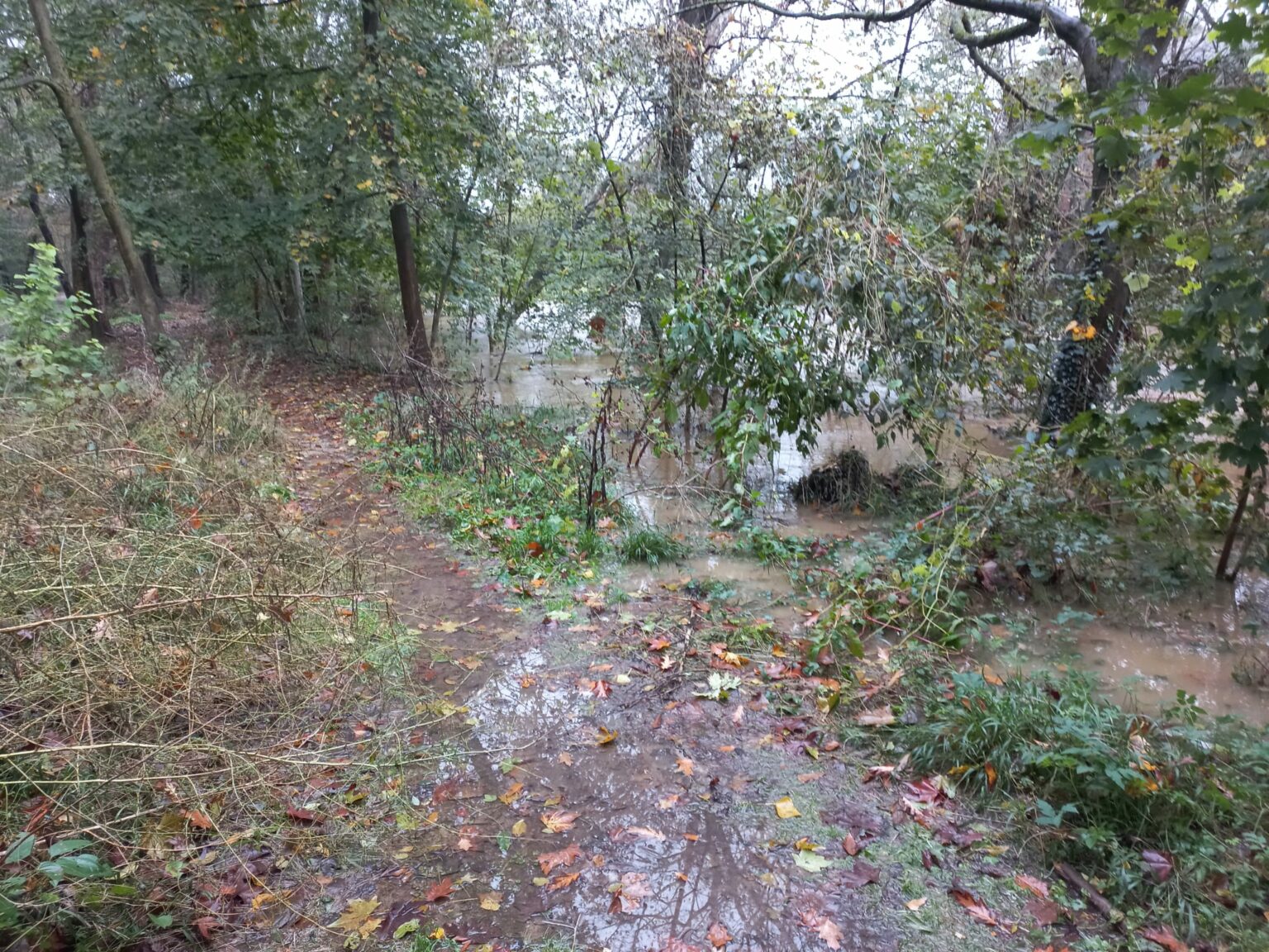 Allerta Meteo Attesa Per Il Picco Di Piena Del Lambro Chiude Il Parco