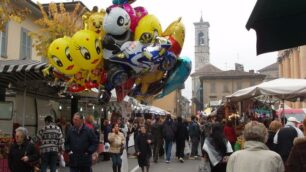 Gli appuntamenti di domenica 8 novembre