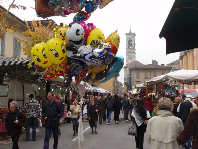 Gli appuntamenti di domenica 8 novembre