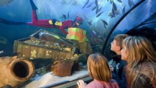 Una «Sirena Babbo Natale»a Gardaland Sea Life Aquarium