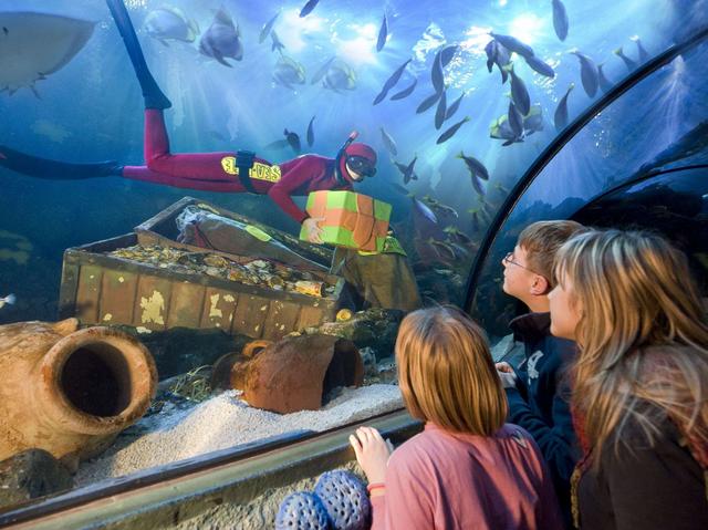 Una «Sirena Babbo Natale»a Gardaland Sea Life Aquarium