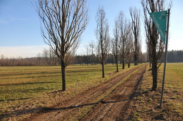 Arcore, mobilitazione dei VerdiUn albero contro il piano Milano 4