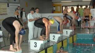 Memorial Cavaliere a VimercateLa quarta volta del trofeo di nuoto