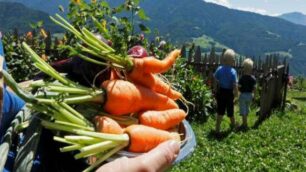 A scuola di ortonell’Alto Adige