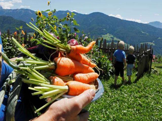 A scuola di ortonell’Alto Adige