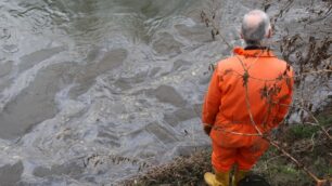 Lombarda Petroli, gasolio nel LambroAllevi: «Un disastro ambientale»Forse si tratta di un sabotaggio