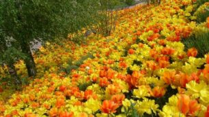 A Merano un tripudio  di fiori  nei giardini preferiti da Sissi