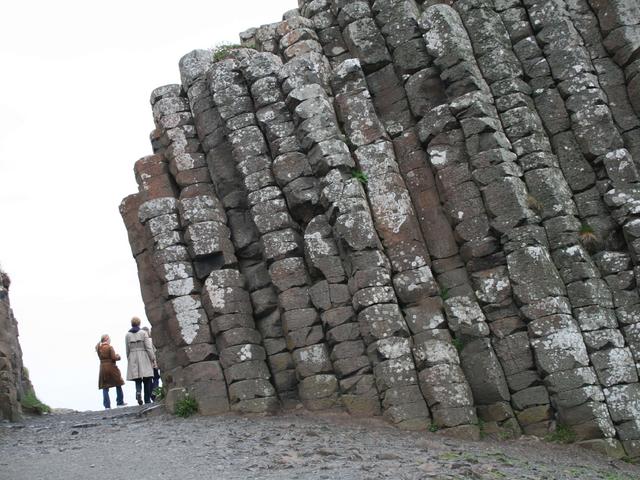 Lo spettacolo della natura irlandesedalla Giant’s Causeway alla foresta