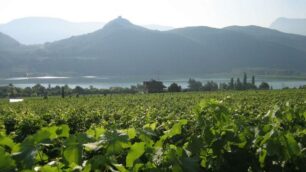 Strada del vino:in vacanza a Caldaro