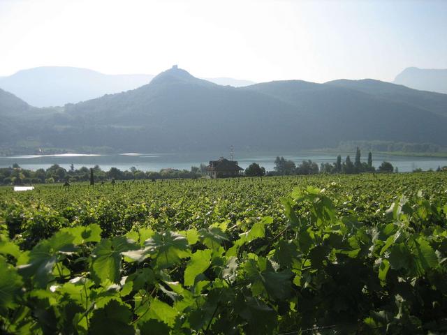 Strada del vino:in vacanza a Caldaro