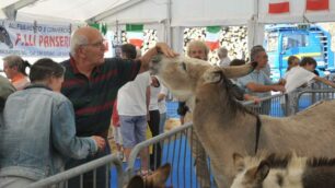 Tutti gli appuntamentidi venerdì 2 settembre