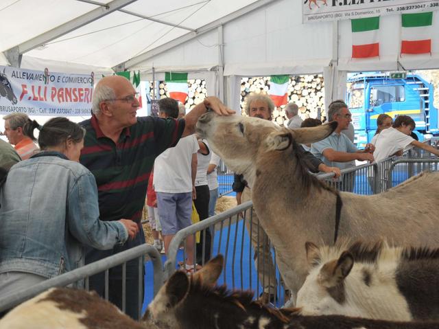 Tutti gli appuntamentidi venerdì 2 settembre