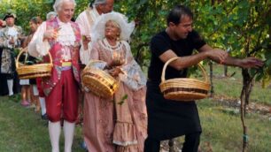 Treviso, vendemmiain abiti del Settecento