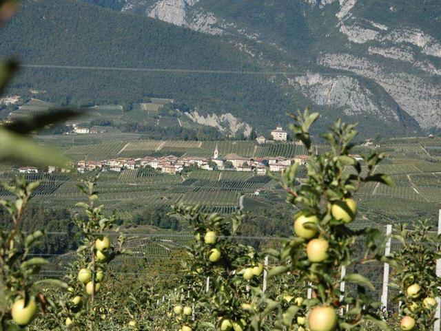 Il tempo delle melenella Val di Non