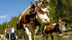 La Festa della transumanzaa Riva di Tures in Valle Aurina