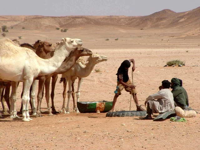 Africa ’70, l’Ong monzeseche fa cooperazione verde