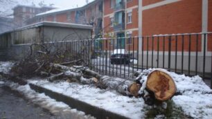 Lissone, neve abbatte piantache sfonda il tetto di una Panda