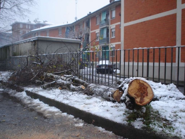 Lissone, neve abbatte piantache sfonda il tetto di una Panda