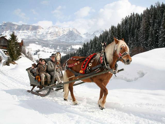 Cavalli e slitte ladinesulle nevi in Badia