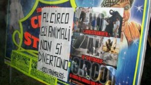 Seregno: animalisti in azione”Oscurate” locandine del circo