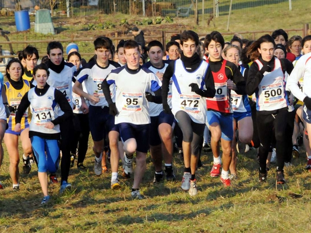 A caccia del trofeo ”il Cittadino”Il Brianzolo è ripartito da Briosco