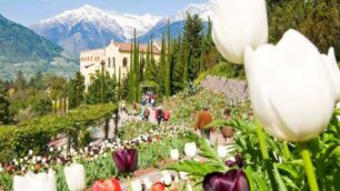 I Giardini di Sissi da aprile a Castel Trauttmansdorff