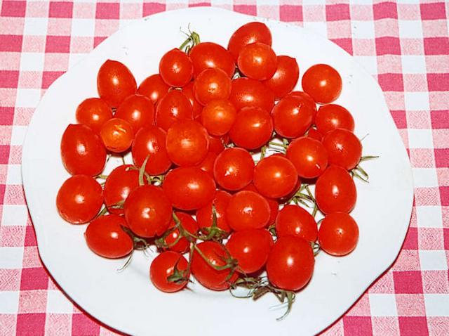 Pomodori e zucchine da seminareDal Comune un corso sull’orto