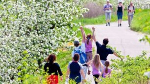 Primavera a CaldaroA spasso fra i vigneti