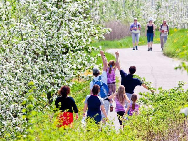 Primavera a CaldaroA spasso fra i vigneti