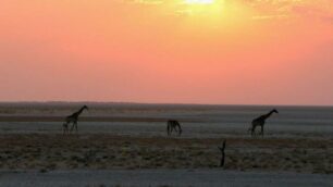 Namibia, l’Africaa prezzi giovani