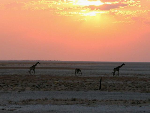 Namibia, l’Africaa prezzi giovani