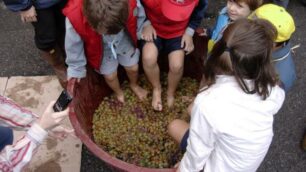 «Scuola in cascina»concorso fotografico