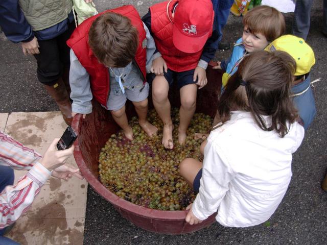 «Scuola in cascina»concorso fotografico