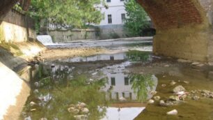 Lambro a Monza, fiume o fogna?Il racconto fotografico del degrado