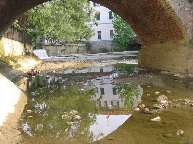 Lambro a Monza, fiume o fogna?Il racconto fotografico del degrado