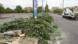 Altro cantiere in viale IndustrieNuovo sottopasso in zona PalaIper