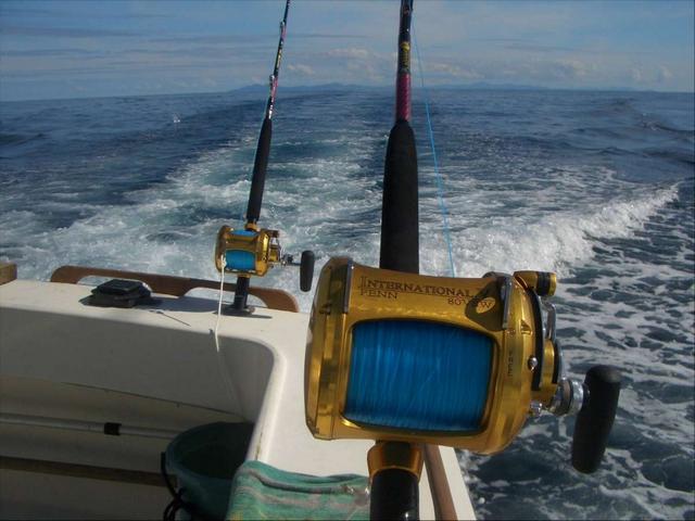 Pesca d’altura, diving, arti marzialiA tutto sport con Delphina in Gallura