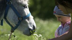 Estate in Val di Nona misura di bambino