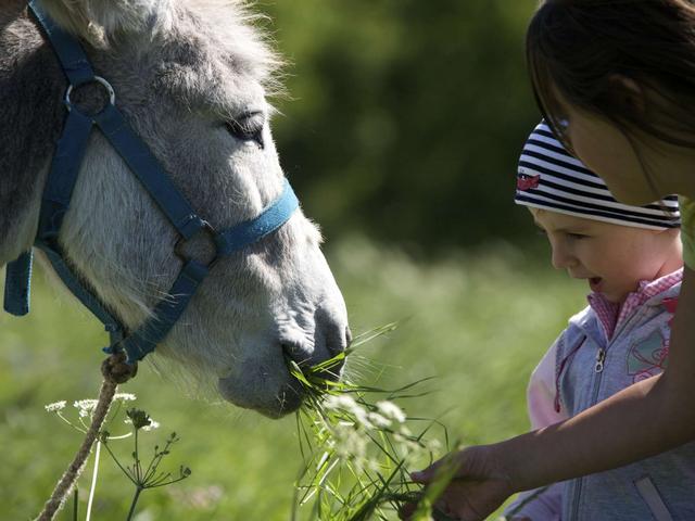 Estate in Val di Nona misura di bambino