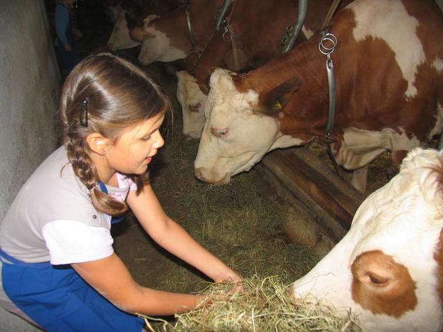 Elfi e fantasmiin Valle Aurina