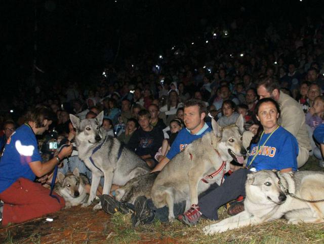 «A spasso con i lupi»sabato sera a Selvino