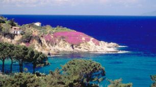 Isola d’Elba:borghi e calette