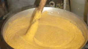 Appuntamenti di sabato 29Sagra della polenta taragna a Branzi