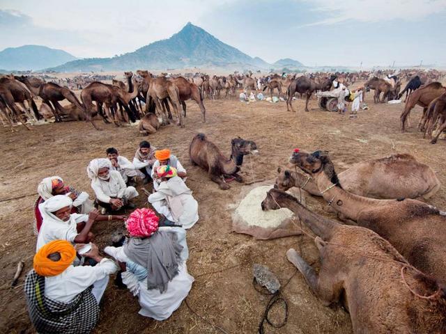 Rajasthan e PushkarViaggio in India