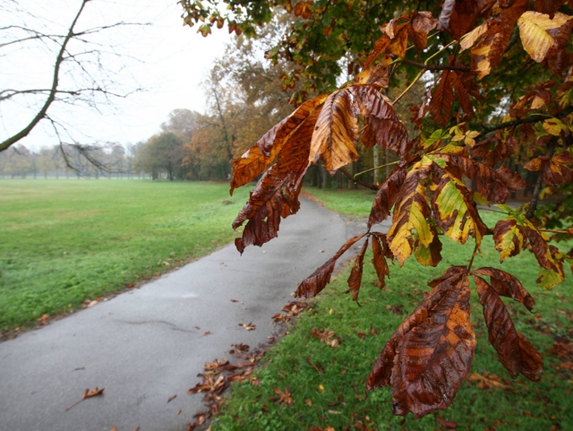 L’autunno che non vuole arrivareTempo stabile fino a mercoledì