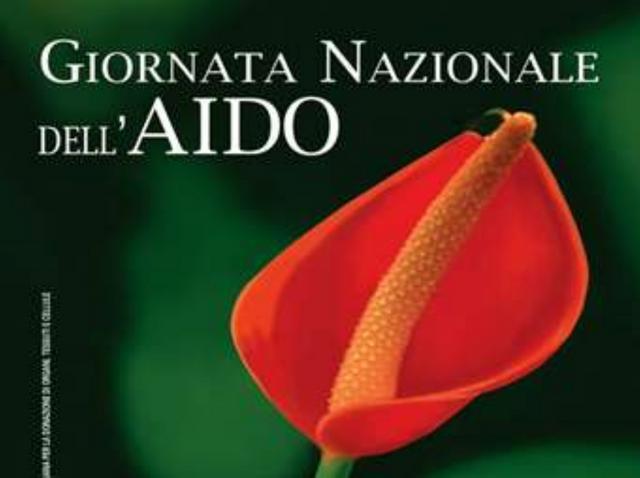 Un anthurium per sostenere l’AidoStand in città l’8 e il 9 ottobre