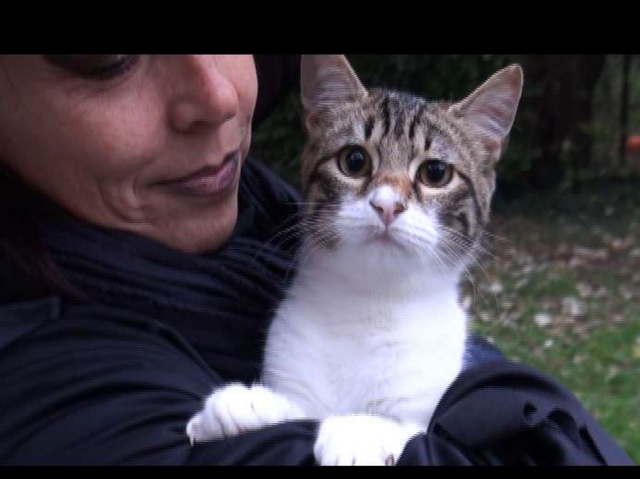 Monza, Halloween al GattoparcoDolcetto o micetto per solidarietà