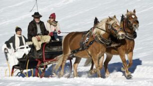 Valli di Tures e Aurina: sci e gite in carrozza