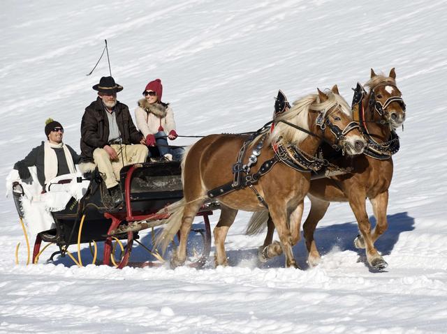 Valli di Tures e Aurina: sci e gite in carrozza